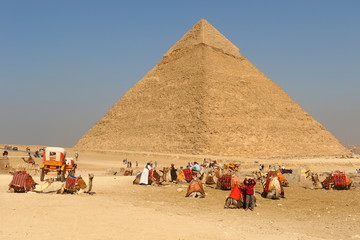Camels wait for tourists in front of the Pyramid of Khafre