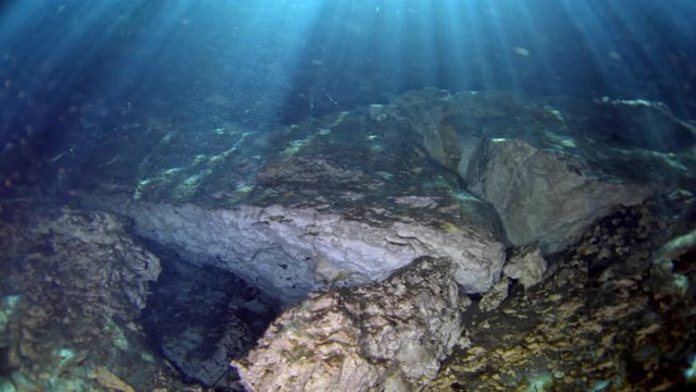 dive into the cenotes, Yucatan, Mexique.
