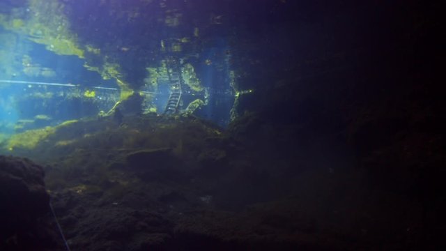 dive into the cenotes, Yucatan, Mexique.