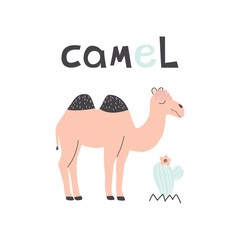 Fototapeta na wymiar Pink camel with cactus and cloud on a white background. Vector illustration, with an exotic animal, for printing on t-shirt, postcard, fabric, wrapping paper, bed linen, Wallpaper. 