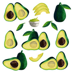 Set of avocado fresh ripe green vegetable half, whole, slices, sliced, guacamole, leaves isolated on white background. Watercolor markers hand drawn illustration in realistic style