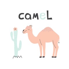 Fototapeta na wymiar Pink camel with cactus and cloud on a white background. Vector illustration, with an exotic animal, for printing on t-shirt, postcard, fabric, wrapping paper, bed linen, Wallpaper. 