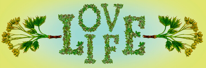 Young spring leaves and the inscription LOVE LIFE from green leaves. Concepts for design.