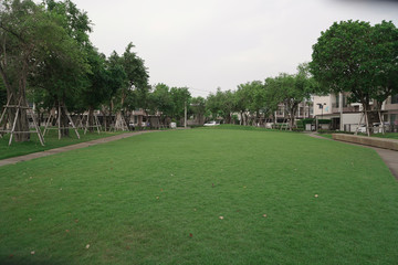 Obraz premium garden in the park