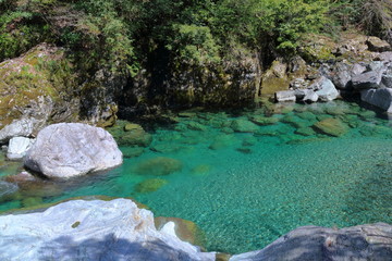 Naklejka premium 安居渓谷 美しい水流 春（高知県）