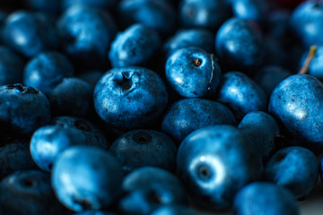 Blueberry berries close up. Summer vitamins. a