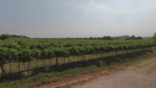 PAN SHOT SLOW MOTION - View of the Sanctuary of Santa Maria della Bassanella and Soave Castle, Italy. Soave is surrounded by vineyards that produce one of the most appreciated Italian white wines.