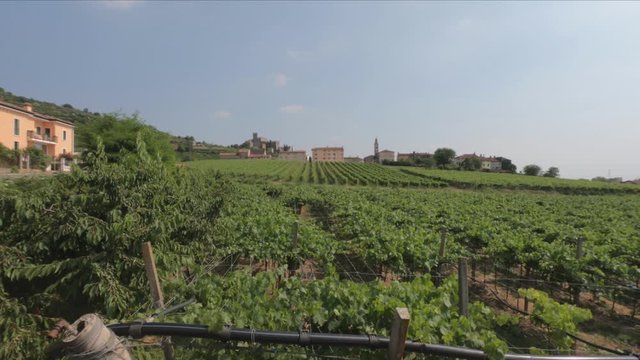 PAN SHOT SLOW MOTION - View of the Sanctuary of Santa Maria della Bassanella and Soave Castle, Italy. Soave is surrounded by vineyards that produce one of the most appreciated Italian white wines.