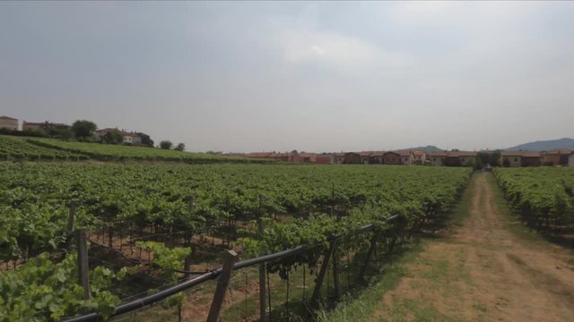 PAN SHOT SLOW MOTION - View of the Sanctuary of Santa Maria della Bassanella and Soave Castle, Italy. Soave is surrounded by vineyards that produce one of the most appreciated Italian white wines.