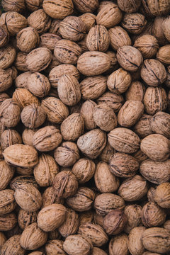 Noix coques du P&eacute;rigord, en France