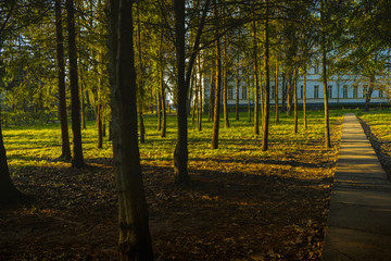 Path from the beautiful spring forest park in Ukraine university 