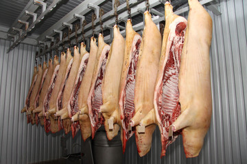 A worker at the meat processing factory, prepares sausages at the work table. Food processing and processing industry. Raw meat mix: steaks, poultry, sausages, ham, chopped, minced meat. The farm