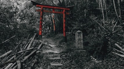 Red Torii Gate with black and white background. Oiwa Shrine in Fukakusa, Fushimi-ku, Kyoto
