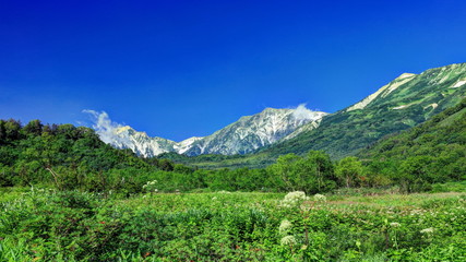 栂池自然園みずばしょう湿原からの白馬連峰