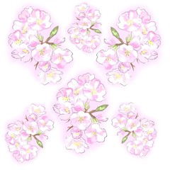 background pattern with beautiful spring flowers for decor 