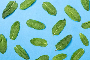 Patrón de hojas de menta verde fresca sobre un fondo azul. Vista superior