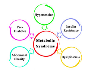 Five Causes of Metabolic Syndrome