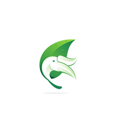 Colorful logo design natural bird
