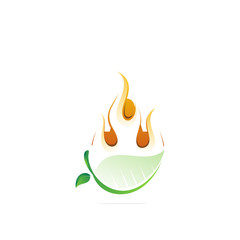Fire and leaf logo design template