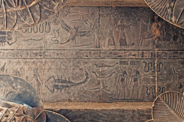 Hieroglyphic carvings on an ancient egyptian temple wall