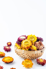 Herbal flower tea Tibetan chrysanthemum on white background