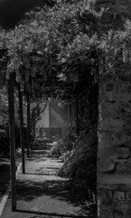 Obraz premium Photo de nature et de paysage éditer en noir et blanc