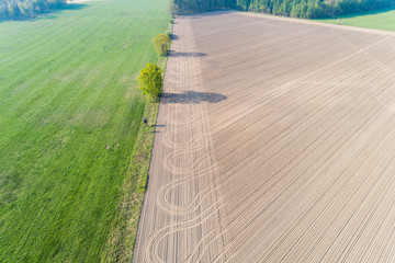 Zwei B&auml;ume zwischen unterschiedlich genutzten Feldern im April, Deutschland