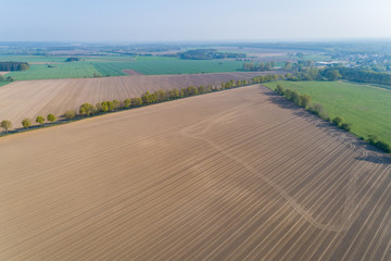Fototapeta na wymiar Landschaft mit Feldern in Norddeutschland