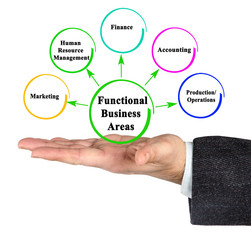Presenting  Five Functional Business Areas