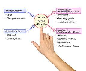 Circadian  Rhythm Disruption: Causes and consequences