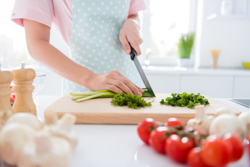 Obraz na płótnie Canvas Cropped close-up view of her she hands girl making meal cutting green vitamin weight loss salad on wooden board cutter table desk in modern white light interior style kitchen indoors