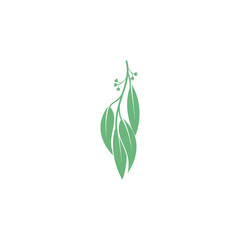 Eucalyptus leaves logo vector template design illustration