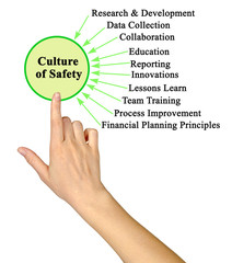 Ten Components of Culture of Safety