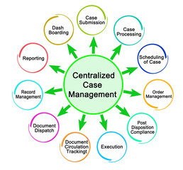 Components of Centralized Case Management.