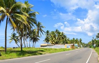  Roadway with palm trees near the Indian Ocean