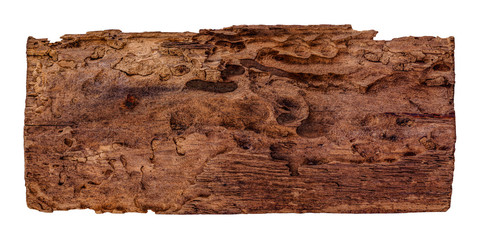 Naturalne stare zniszczone spróchniałe drewno