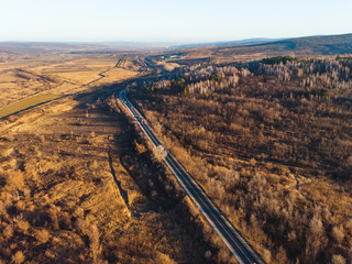 road at forest along field