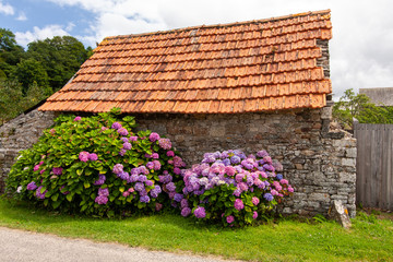 Fototapete bei efototapeten.de bestellen   