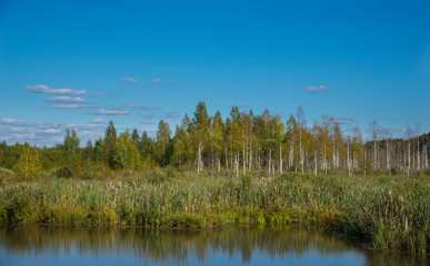 Fototapeta na wymiar Typical landscape of a midland in Russia