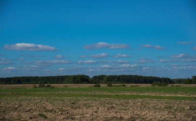 Rural landscape of a midland in Russia