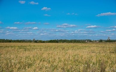 Obraz premium Rural landscape of a midland in Russia