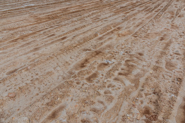 Dried muddy dirt road rut texture