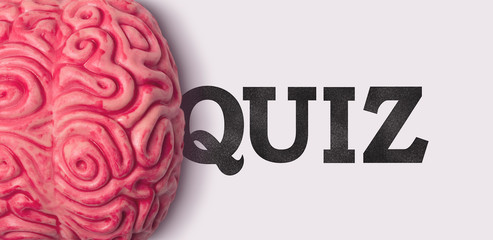 Quiz word next to a human brain model