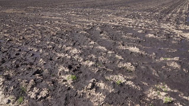 Acre with a lot of liquid manure from a biogas plant