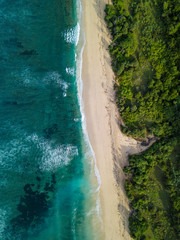 Aerial view of tropical beach, Bali, Indonesia