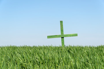 Grünes Holzkreuz im Getreidefeld,