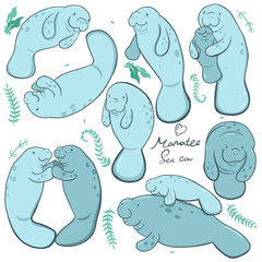 Основные RGB