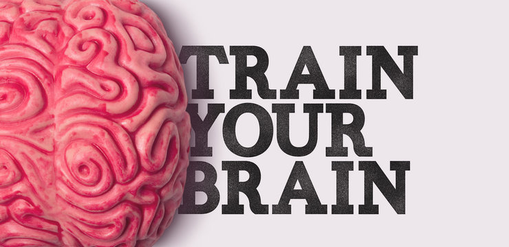 Train your brain word next to a human brain model