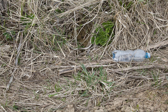 Plastic Bottle Lying In Forest. Stop Plastic, Social Concept, Civil Liability, Environmental Concept