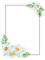 daisy flowers frame